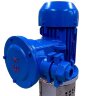 Pompe à huile thermique verticale 350 degrés Celsius LQLRY40-40-210/2-CEX, 6.3 m3/h, 50 m, 4 kW, 2900 rpm, Ex