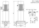 Pompe à huile thermique verticale 350 degrés Celsius LQLRY40-40-210/2-CEX, 6.3 m3/h, 50 m, 4 kW, 2900 rpm, Ex