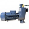 BXZm W15-25-1,5kW, 2900, 220V self-priming dirty water pump