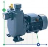 BXZm W18-30-2,2kW, 2900, 220V self-priming open impeller pump