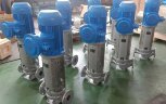 Vertikale Wärmeträgerpumpe für Hochtemperaturflüssigkeiten LQLRY80-80-260/2-CEX, 50 m3/h, 80 m, 22 kW, 2900 U/min, Ex