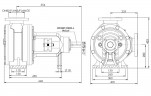 Bomba de engranajes Kupar KIP 3 pulgadas-C, AISI 316, 12-60 m3/h inoxidable