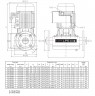 Pompa obiegowa Ebara LPS 32/25m, 220V