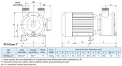 Pompe vortex pour le pompage d'acides LIVERANI EP 60 Inox 2, 350 l/min, TF/M, 4 kW, 1400 rpm, 380 V, AISI 316, Seal Cer.-Grafite-EPDM