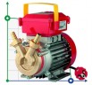 ROVER 25 CE liquid ring pump