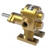 Zahnradpumpe für Leim Kupar KHP 1 Zoll-B, Bronze, 2-5 m3/h