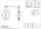 PN16 DN150 Затвор дисковый поворотный Баттерфляй, чугунный корпус, диск AISI 304, Seat EPDM