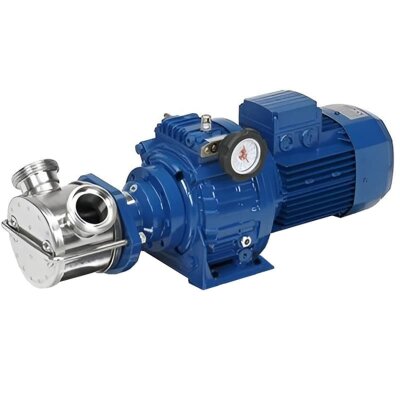 Bomba de impulsor para bombeo de productos alimenticios viscosos LIVERANI VA MINOR 40 NR TF 1,5kW, 175-900rpm, 380V con variador