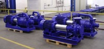 PW.1.21.1.1010 two-stage vacuum pump