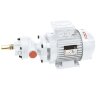 Zahnradpumpe zum Fördern von Heizöl LIVERANI GEAR 15-G TF 0,37 kW, 1400 U/min, 380 V