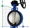 PN16 DN250 Задвижка Баттерфляй, чугунный корпус, диск AISI 304, Seat EPDM
