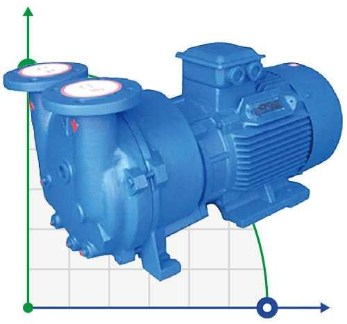 2BV5161 Wasserring-Vakuumpumpe