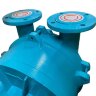 2BV5161 Wasserring-Vakuumpumpe