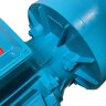 2BV5161 Wasserring-Vakuumpumpe