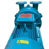 2BV5161 Wasserring-Vakuumpumpe