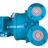 2BV5161 Wasserring-Vakuumpumpe