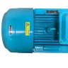 2BV5161 Wasserring-Vakuumpumpe