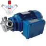 Impellerpumpe zum Fördern von Wein und Most LIVERANI EP MIDEX 1"1/4 +BY-PASS NR TF/I 0,56–0,37kW, 1400–700U/min, 380V mit Reversierschalter