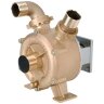 Wirbelpumpe zum Entleeren von Behältern LIVERANI MID 50, 230 l/min, Bronze, für Hydraulikmotor