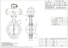 PN6 DN250 Zawór Motylkowy, korpus i tarcza AISI 304, PTFE, pneumatyczna dwustronnego działania Ex, ustawnik pozycyjny 4-20MA