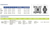 Pompe pneumatique à membrane pour peinture PHOENIX P160 ALU EPDM, 170 l/min